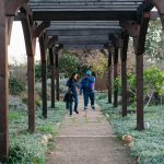 two people walking under a trellis covered walkway